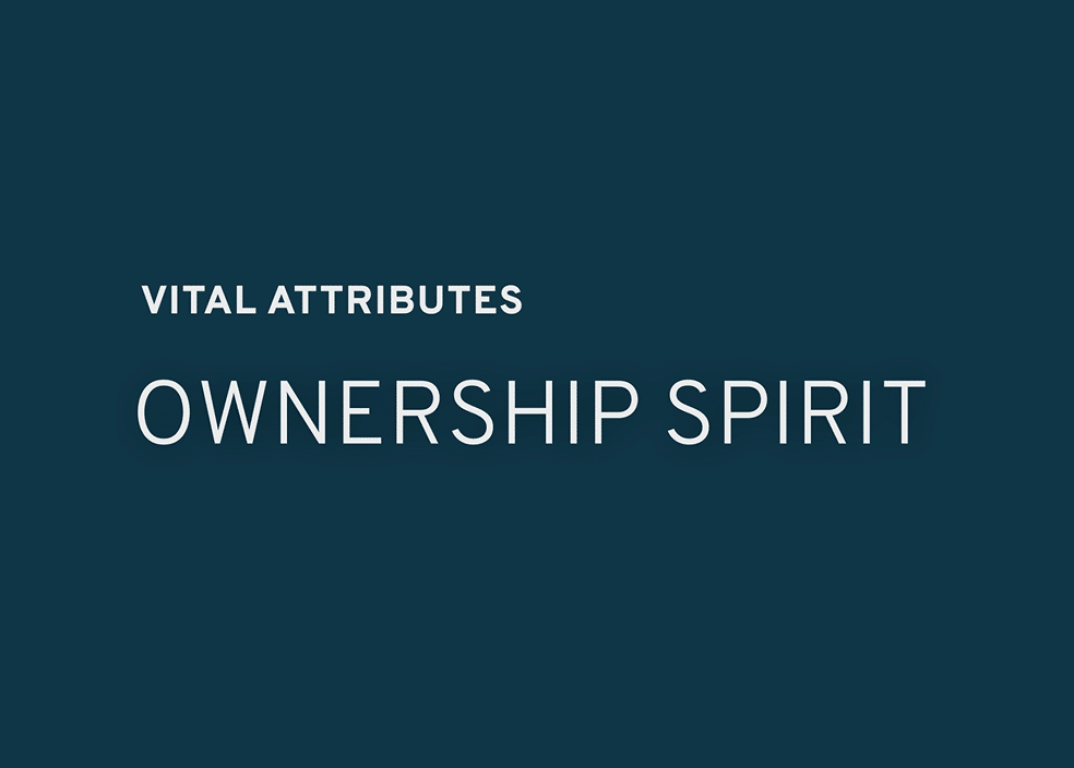 Wayfinder Attribute: Ownership Spirit